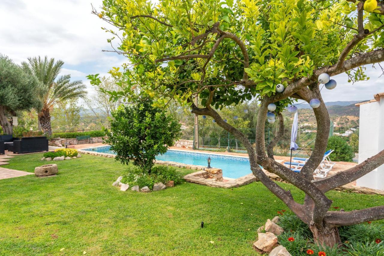 Monte Madalena Villa Adega Bagian luar foto