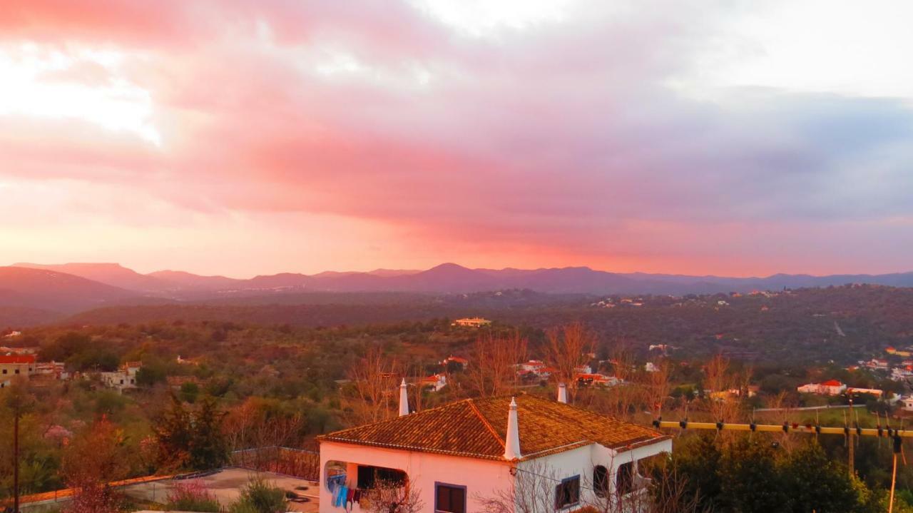Monte Madalena Villa Adega Bagian luar foto